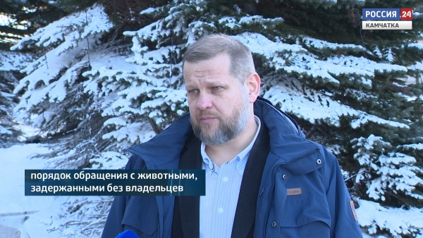Безнадзорные животные подлежат вакцинации и стерилизации