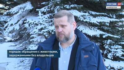 Безнадзорные животные подлежат вакцинации и стерилизации