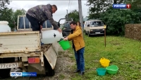 Ситуация с паводком в Соболево стабилизировалась