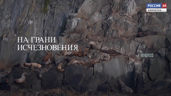 На грани исчезновения