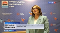 Жители Камчатки могут пройти опрос и оценить работу службы занятости населения