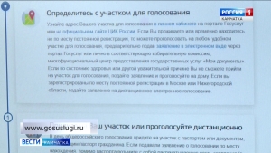 Система &laquo;Мобильный избиратель&raquo; будет работать до 21 июня