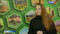 В крае завершены работы по своду и обобщению государственного лесного реестра