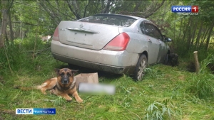 Служебная овчарка помогла полицейским найти угонщика автомобиля