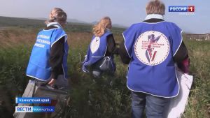 Итоги трёх дней голосования