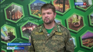 Жителям Камчатки напомнили о правилах организации отдыха в лесу