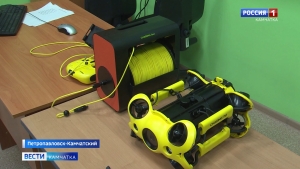 Ведущий вуз Камчатки выиграл грант на развитие научной деятельности педагогов