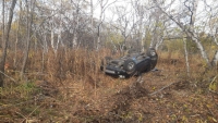 В Елизовском районе пенсионерка перевернулась на авто