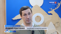 Правила безопасности в лесу