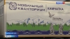 "Кванториум" продолжает знакомить школьников региона с инновациями