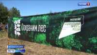 Всероссийская акция "Сохраним лес" стартовала на полуострове