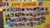 Забрать кошку из приюта можно просто заглянув в зоомагазин