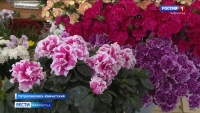 Флористы готовы ко Дню знаний