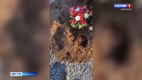 На кладбище Петропавловска-Камчатского обнаружили следы медведя