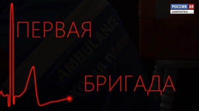 Первая бригада