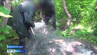 Инспектору рыбоохраны будут платить процент от суммы наложенных им штрафов