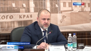 В Законодательном Собрании заслушали доклад об исполнении бюджета 2019 года