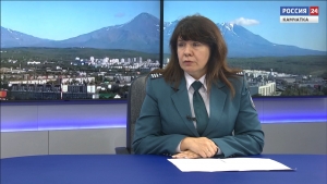 Как подать декларацию о доходах?