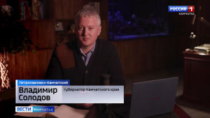 Сроки запуска