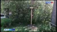 Сотрудники Мильковского лесничества отреставрировали памятный крест