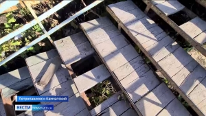 Волонтеры краевой столицы отремонтировали ступени лестницы