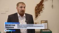 Новый ледовый дворец