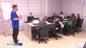Образовательная программа IT-направленности