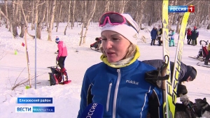Любители и профессионалы ездового спорта померились силами на чемпионате