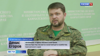 Профилактические мероприятия