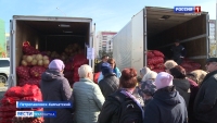 Ярмарка «Золотой урожай»