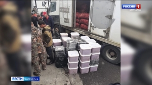 Больше тонны незаконно добытой икры обнаружили в грузовом автомобиле