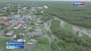 Ситуация в Соболево на 6 июля