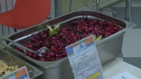 В новом учебном году ученики младшей школы будут получать бесплатное питание