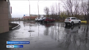 Территорию краевого роддома оформят ландшафтные дизайнеры