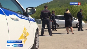 Камчатские сотрудники полиции изъяли более 18 тонн незаконно выловленной красницы