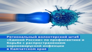 Волонтерский штаб "Единой России" продолжает оказывать помощь заболевшим коронавирусом