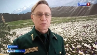 Мильковские лесники с начала этого года провели уже девять патрулирований лесных хозяйств