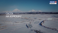 Охота на корюшку
