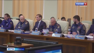 Площадь лесных пожаров на Камчатке уменьшилась в девять с половиной раз