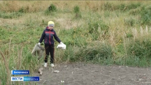 Волонтеры Вилючинска собрали прибрежный мусор