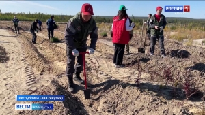 Участников камчатской "Молодёжки ОНФ" наградили за помощь Якутии