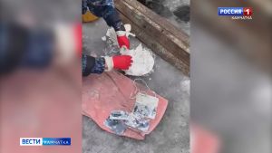 В камчатской ИК №5 пресечена попытка доставки запрещённых предметов