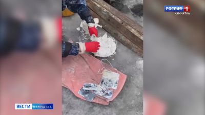 В камчатской ИК №5 пресечена попытка доставки запрещённых предметов