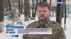 Штраф за вырубку хвойных деревьев