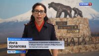 Мошенничество в мессенджерах