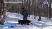Закладчика поймали возле лесополосы у биатлонного комплекса в Петропавловске