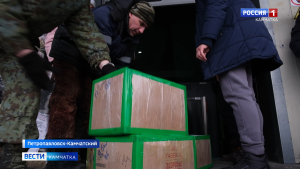 Очередная партия гуманитарной помощи отправилась в Курск
