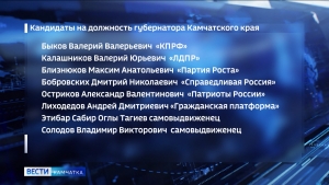 На должность губернатора Камчатского края претендуют 8 кандидатов