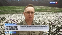 Осмотры лесосек