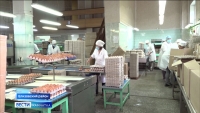 На птицефабрике запустят производство сосисок для школьного питания